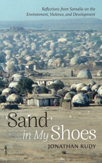 Omslagafbeelding: Sand in My Shoes 9781666777673
