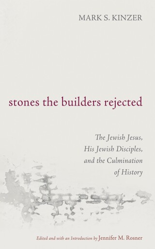 Cover image: Stones the Builders Rejected 9781666778601