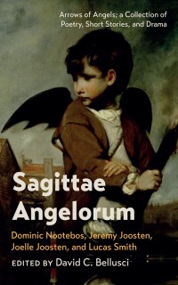 Cover image: Sagittae Angelorum 9781666780635
