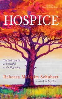 Cover image: Hospice 9781666782462