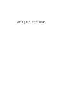 Cover image: Mining the Bright Birds 9781666782943