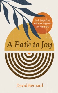 Cover image: A Path to Joy 9781666784060
