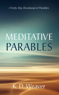 Titelbild: Meditative Parables 9781666784961