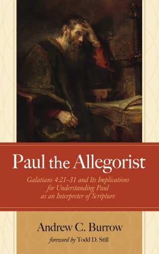 Cover image: Paul the Allegorist 9781666785715