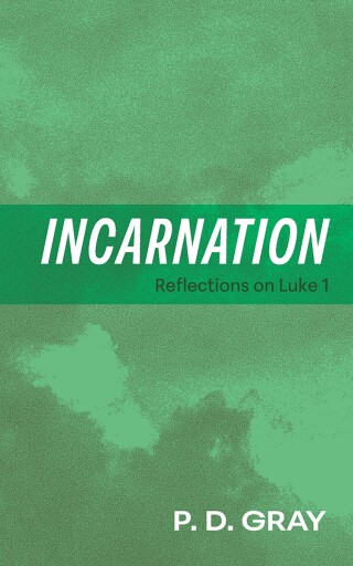 Imagen de portada: Incarnation 9781666788051