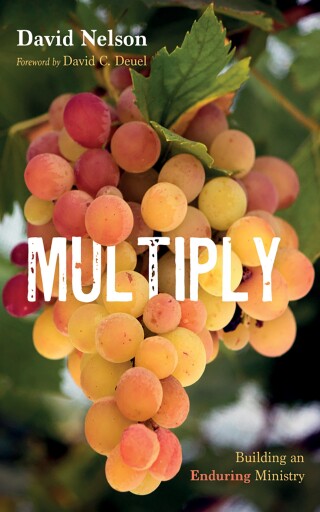 Cover image: Multiply 9781666789911