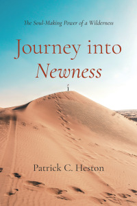 Cover image: Journey into Newness 9781666734737