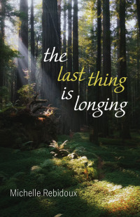 Cover image: The Last Thing Is Longing 9781666734850