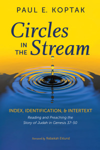 Cover image: Circles in the Stream 9781666735321