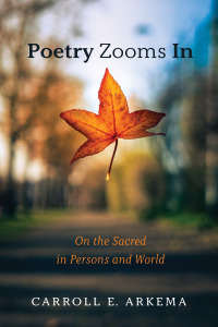 Cover image: Poetry Zooms In 9781666735437