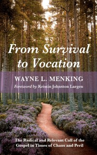 Omslagafbeelding: From Survival to Vocation 9781666736489