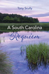 صورة الغلاف: A South Carolina Requiem 9781666736779