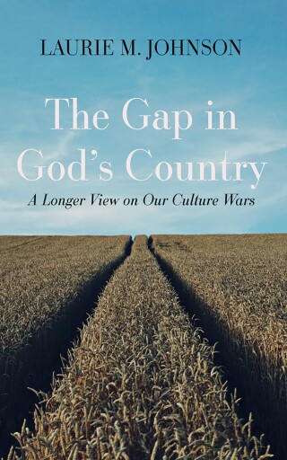 Cover image: The Gap in God’s Country 9781666737400