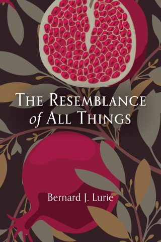 Cover image: The Resemblance of All Things 9781666737455