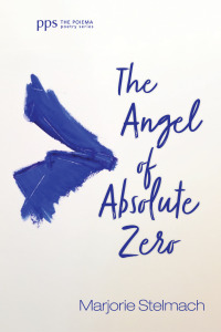 Cover image: The Angel of Absolute Zero 9781666738124