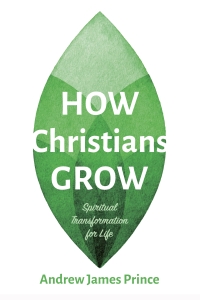 صورة الغلاف: How Christians Grow 9781666738445