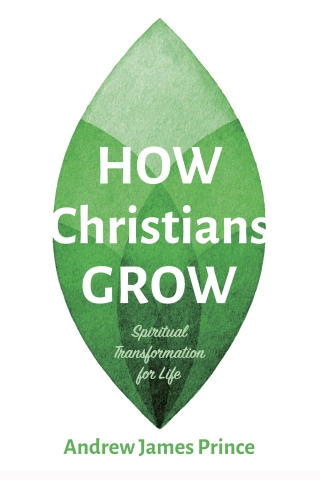 Imagen de portada: How Christians Grow 9781666738445