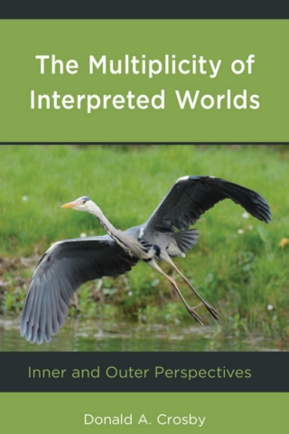 Imagen de portada: Multiplicity of Interpreted Worlds 9781666906509