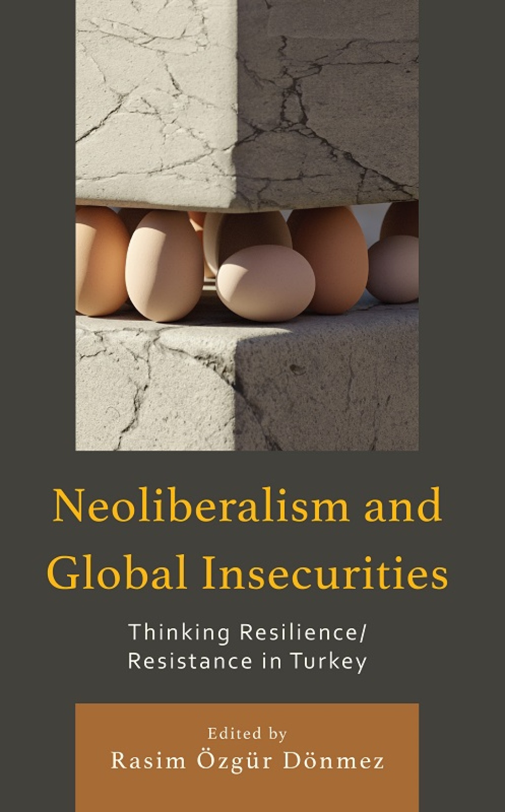 Neoliberalism and Global Insecurities Thinking Resilience/Resistance in Turkey