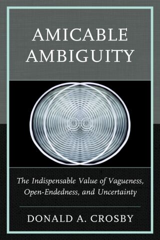 Cover image: Amicable Ambiguity 9781666969658