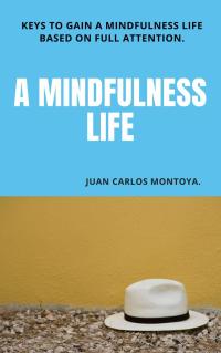 Omslagafbeelding: " A mindfulness Life" 9781667407029