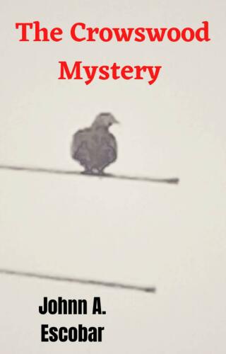Cover image: The Crowswood Mystery 9781667429854