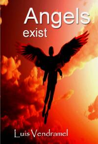 Cover image: Angels Exist 9781667430362