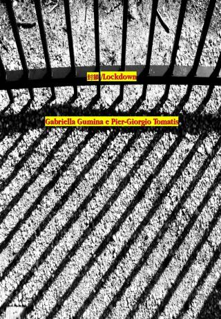 Cover image: 封鎖/Lockdown 9781667435367