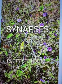 Immagine di copertina: Synapses 9781667440217