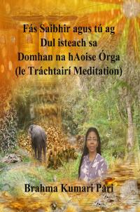 Titelbild: Fás Saibhir agus tú ag Dul isteach sa Domhan na hAoise Órga (le Tráchtairí Meditation) 9781667443645