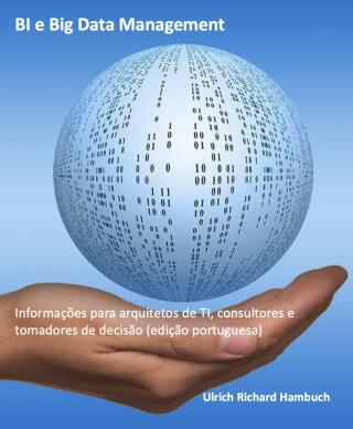 صورة الغلاف: BI e Big Data Management 9781667446363