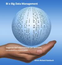 Imagen de portada: BI e Big Data Management 9781667447407