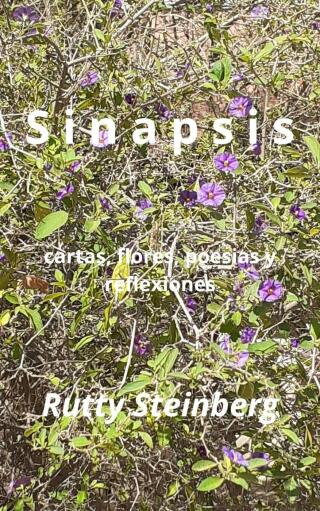 Imagen de portada: Sinapsis 9781667458175