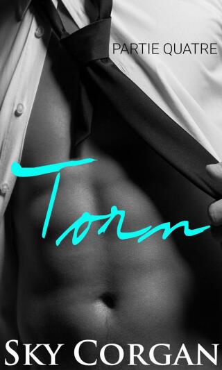 表紙画像: Torn : Partie Quatre 9781667460239