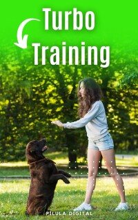 Cover image: Turbo Training 9781667470511