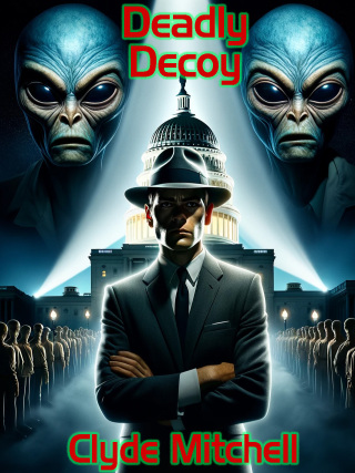 Cover image: Deadly Decoy 9781667631943