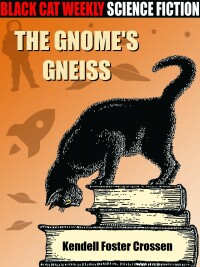 表紙画像: The Gnome's Gneiss 9781667640402