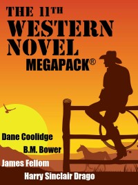 صورة الغلاف: The 11th Western Novel MEGAPACK® 9781667660219