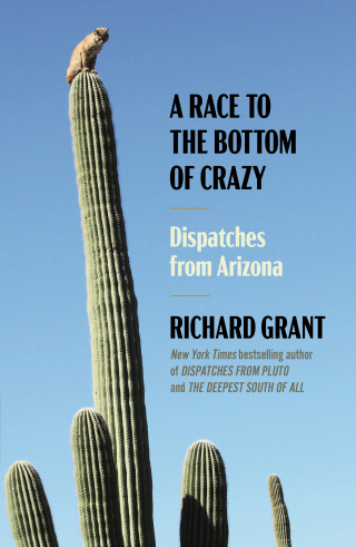 Cover image: A Race to the Bottom of Crazy 9781668011027