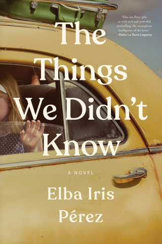 Cover image: The Things We Didn't Know 9781668012079