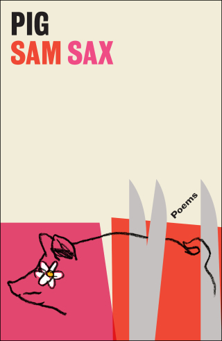 Cover image: Pig 9781668019993