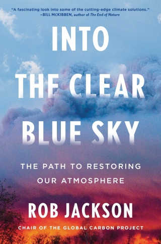 Cover image: Into the Clear Blue Sky 9781668023266