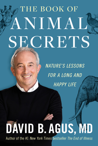 Cover image: The Book of Animal Secrets 9781982103040