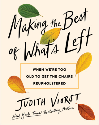Cover image: Making the Best of What's Left 9781668068014