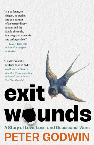 Cover image: Exit Wounds 9781668074541