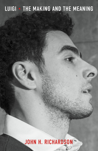Cover image: Luigi 9781668209349