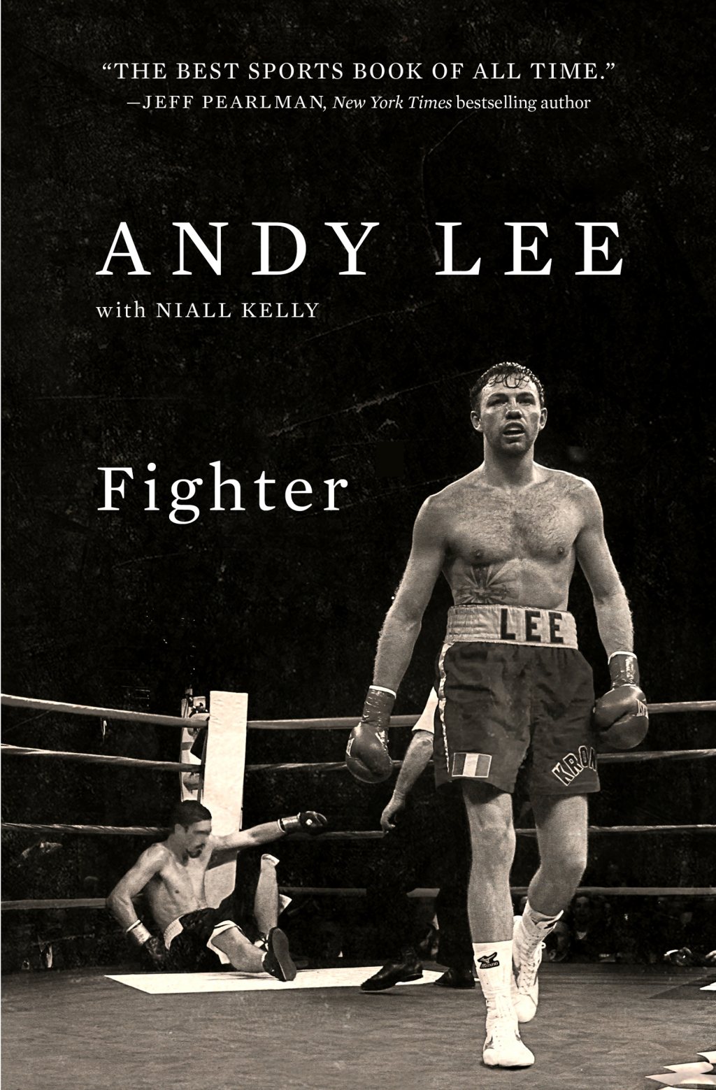 Fighter (eBook)