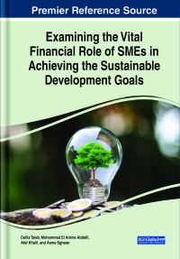 Omslagafbeelding: Examining the Vital Financial Role of SMEs in Achieving the Sustainable Development Goals 9781668448342