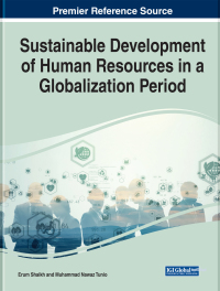 Imagen de portada: Sustainable Development of Human Resources in a Globalization Period 9781668449813