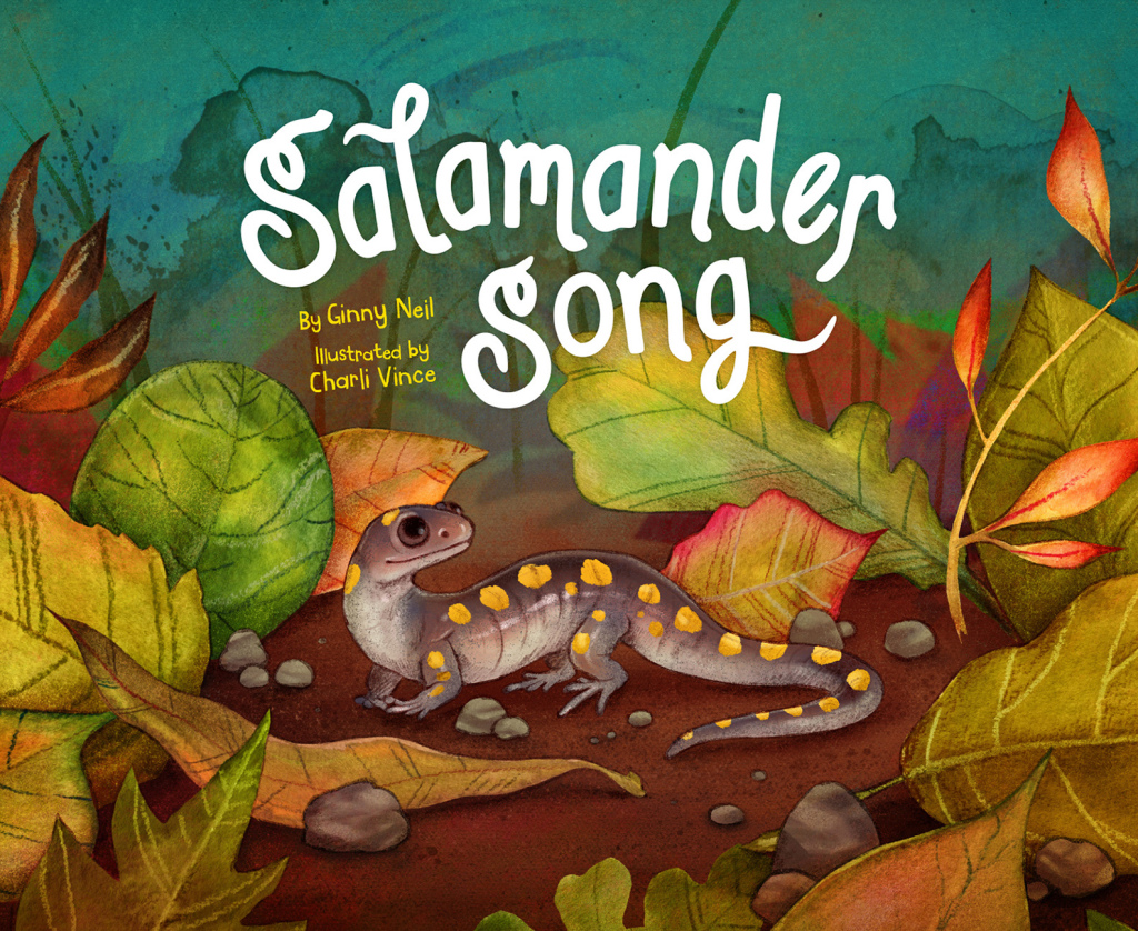 Salamander Song 1st Edition